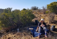 Klein Karoo - Passeggiata naturalistica con picnic - Hizvo