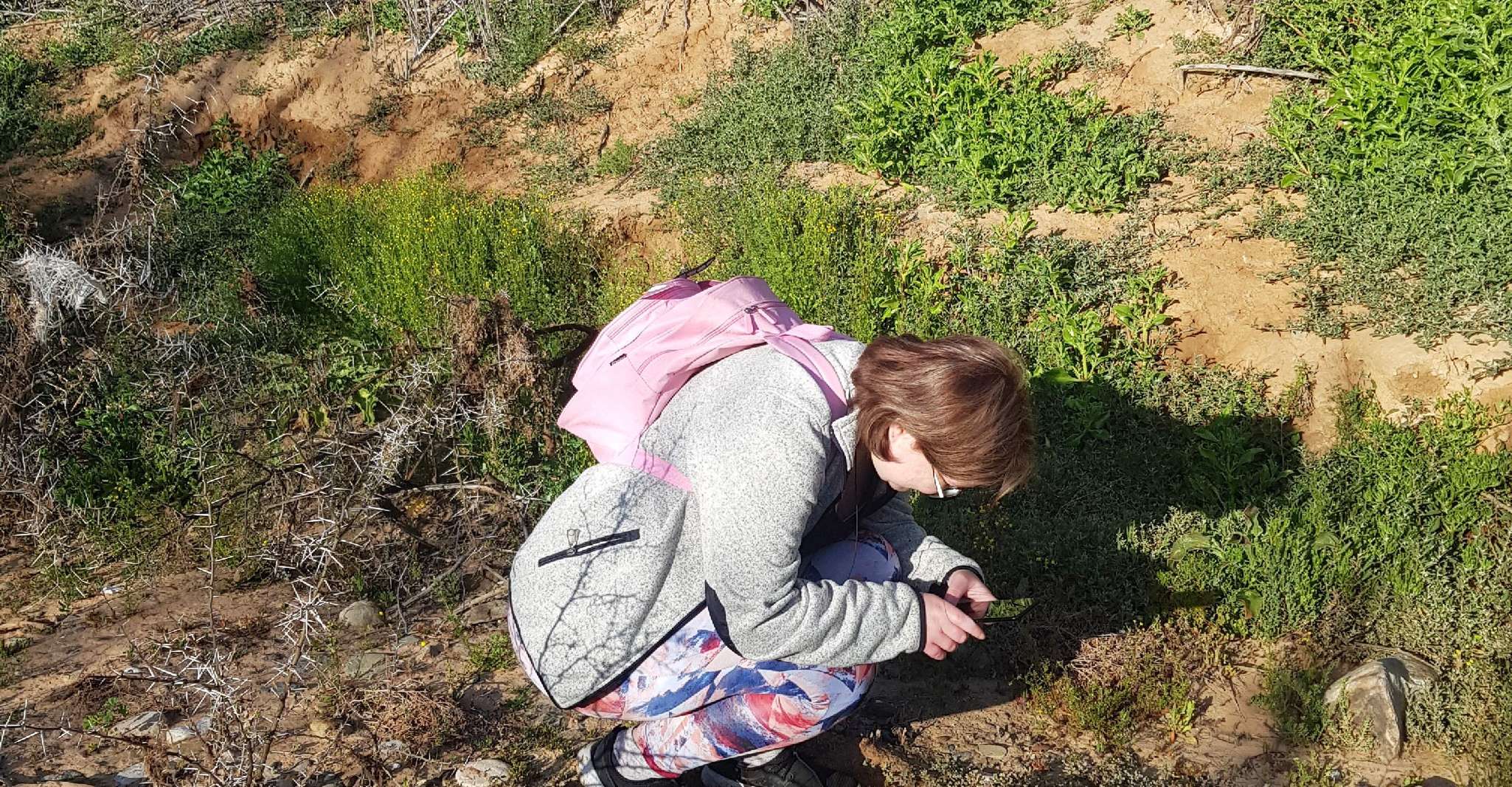 Klein Karoo - Doğa Yürüyüşü Bir Piknikle - Hizvo