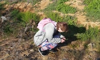 Klein Karoo - Passeggiata naturalistica con picnic - Hizvo