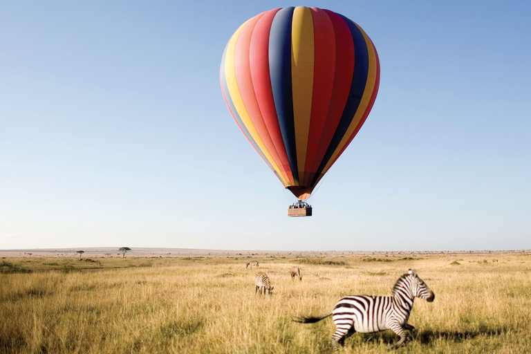 12 dni Kenia i Tanzania budżetowy kemping Safari12-dniowe safari na kempingu w Kenii i Tanzanii