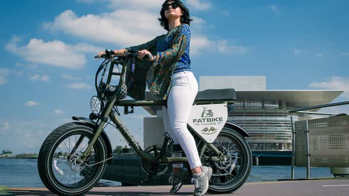 Copenhagen: Guided e-Bike City Tour