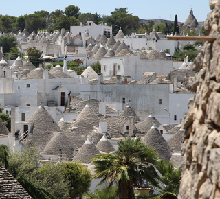 Escursioni, tour e gite da Polignano A Mare