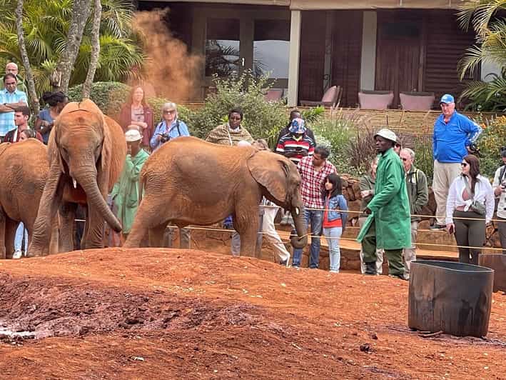 Nairobi: Elephant Orphanage and Giraffe Center Tour