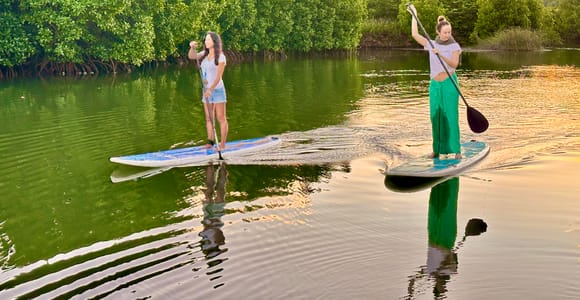 Mauritius: Guided Stand Up Paddle Tour on Tamarin River