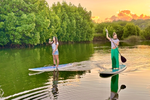 Mauricio: Excursión guiada en Stand Up Paddle por el río Tamarin