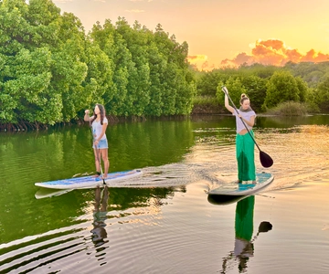 Mauritius: Guided Stand Up Paddle Tour on Tamarin River