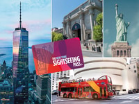 New York City, The Sightseeing Flex Pass - Housity