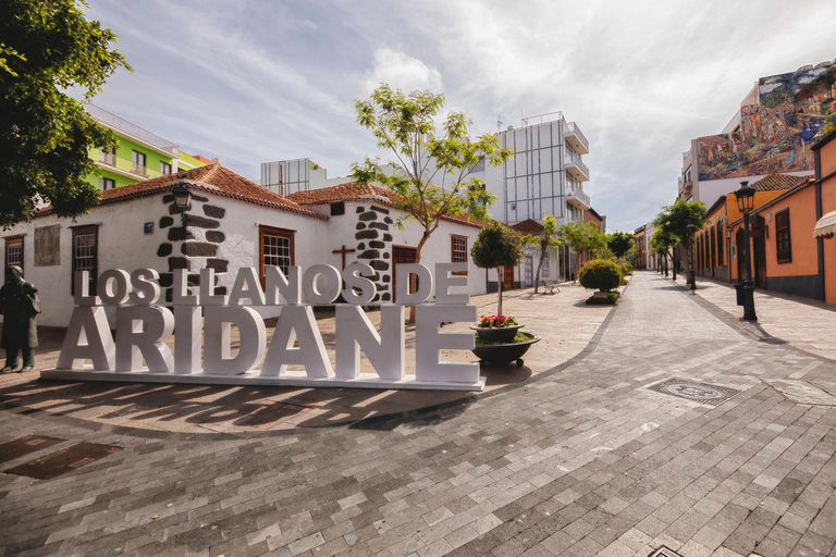 Los Llanos de Aridane: Art & Heritage Private Walking Tour
