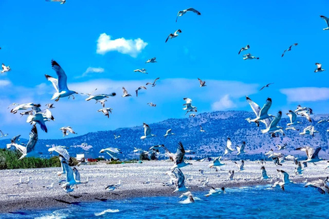 Lindos: Glass Bottom Boat Tour with Snorkeling Lindos: 3 Hour Glass Bottom Boat Tour with Snorkelling