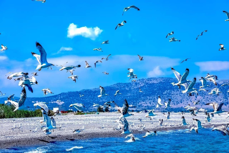 Lindos: Glass Bottom Boat Tour with Snorkeling Lindos: 3 Hour Glass Bottom Boat Tour with Snorkelling