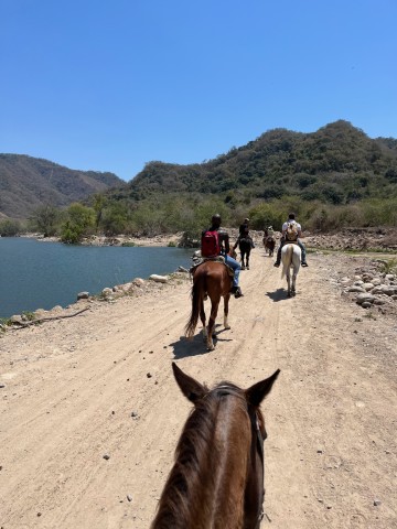 Visit ⭐ Horseback Riding & Tequila Tasting in Riviera Maya
