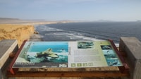 Paracas, Paracas National Reserve Half Day Tour - Housity