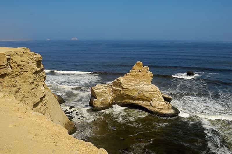 Paracas: Paracas National Reserve Half Day Tour