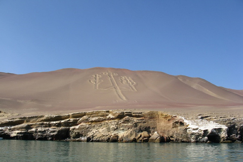 Depuis le port de San Martin : Tour des îles Ballestas à ParacasCircuit des îles Ballestas depuis Puerto San Martin