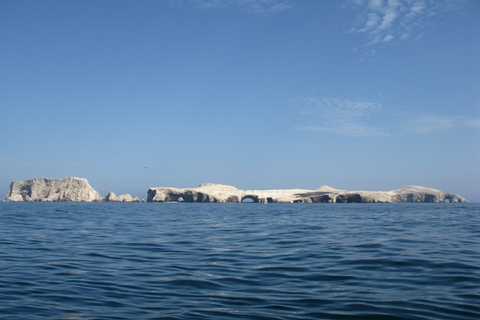 Depuis le port de San Martin : Tour des îles Ballestas à ParacasCircuit des îles Ballestas depuis Puerto San Martin