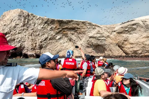 Desde el Puerto de San Martín: Excursión a las Islas Ballestas en Paracas