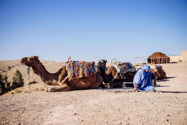 Marrakech: Sunset Camel Ride and Rainbow stairs