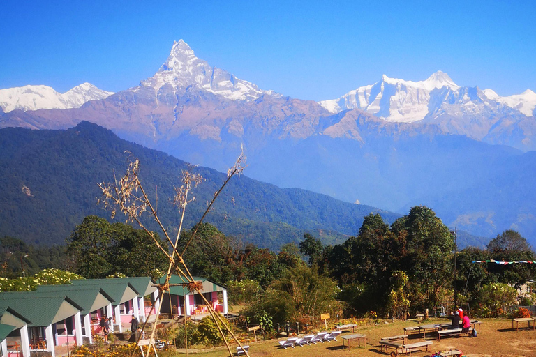 Campamento australiano y Dhampus: tour privado de senderismo de 2 díasCampamento Australiano y Dhampus: tour privado de senderismo de 2 días