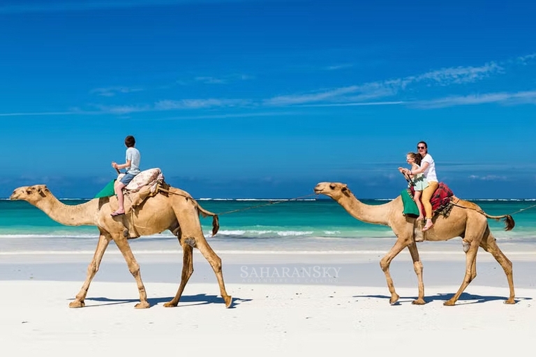 Djerba: Laguna Camel Ride Experience