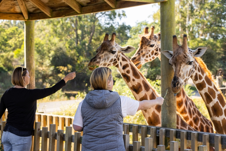 Christchurch: Admission au parc animalier Orana
