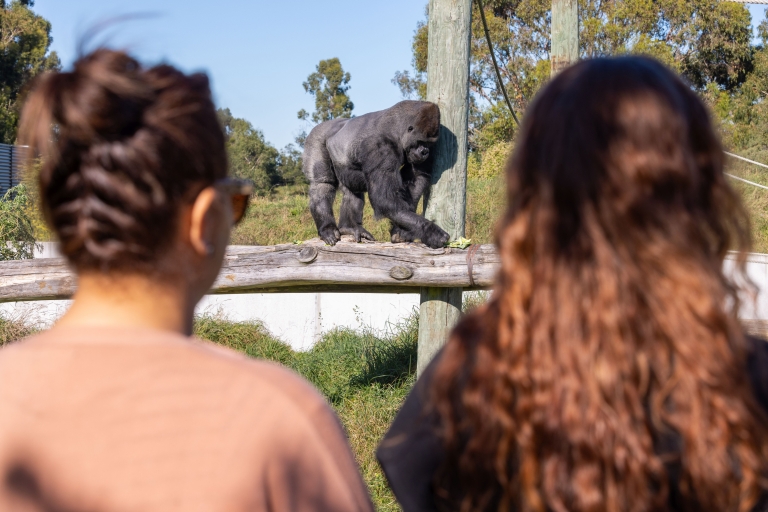 Christchurch: Orana Wildlife Park Wstęp