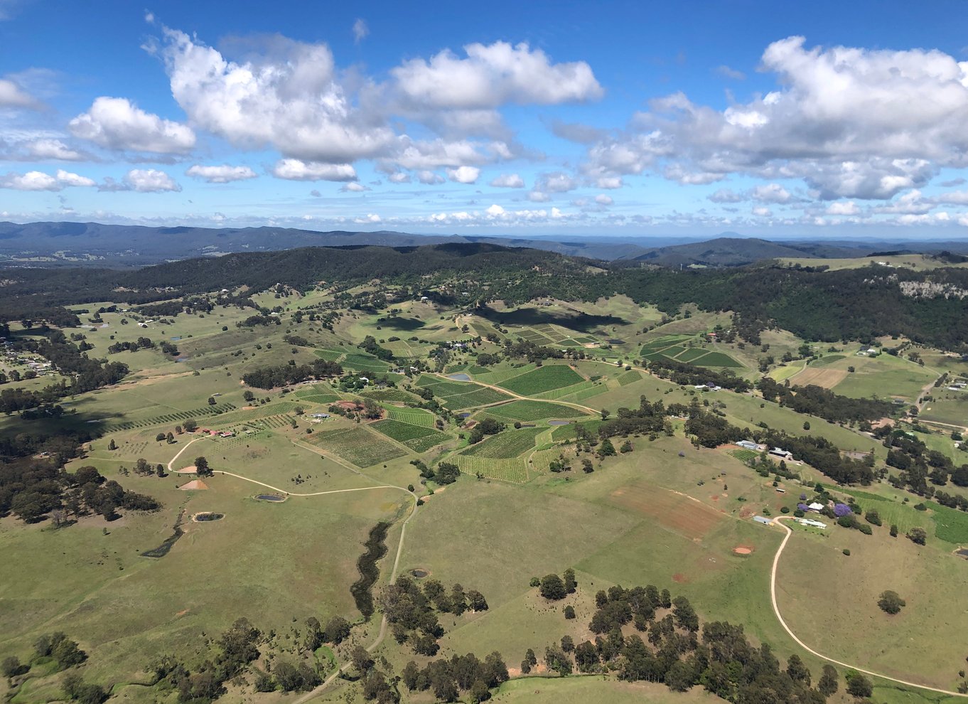 Pokolbin: 10 minutters helikopterrundflyvning i Hunter Valley