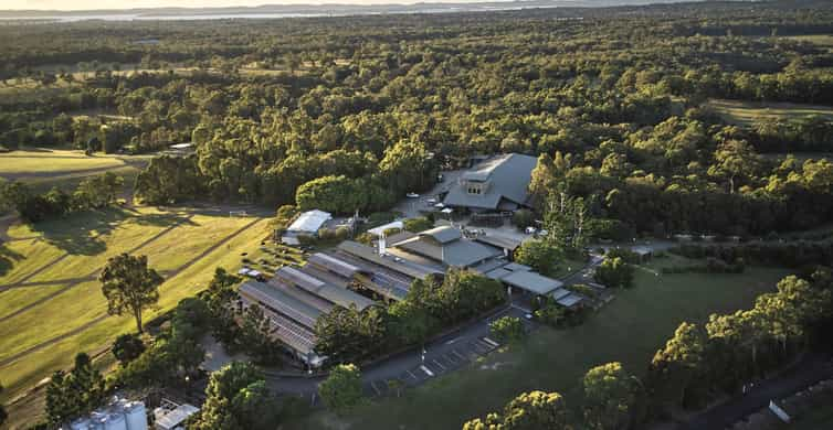 Tour Taste and Lunch at Cellar Door GetYourGuide