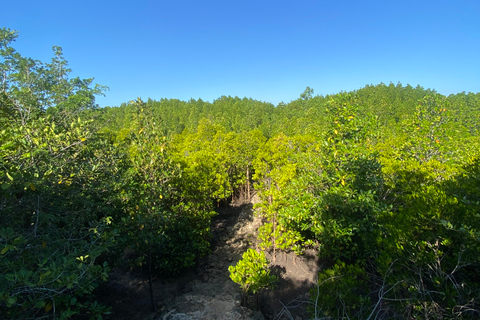 Explorando la Naturaleza de Zanzíbar Excursión de un Día