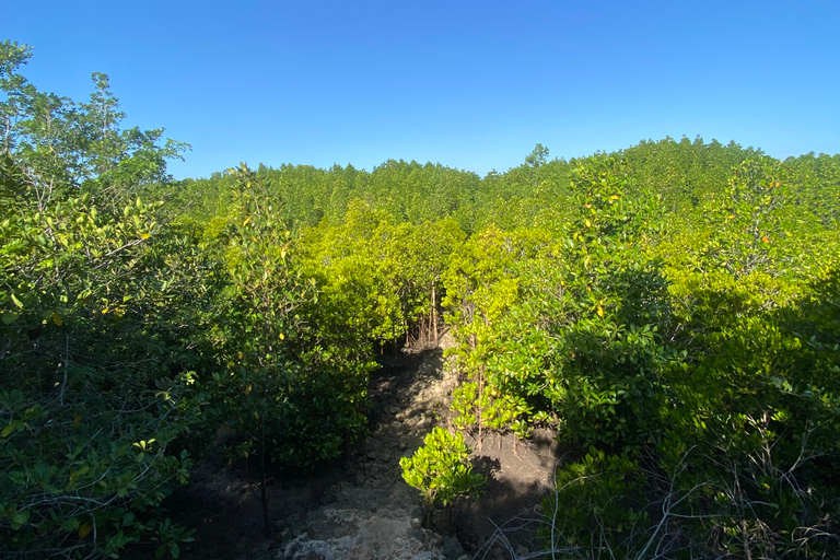 Exploring The Zanzibar Nature Full Day Trip