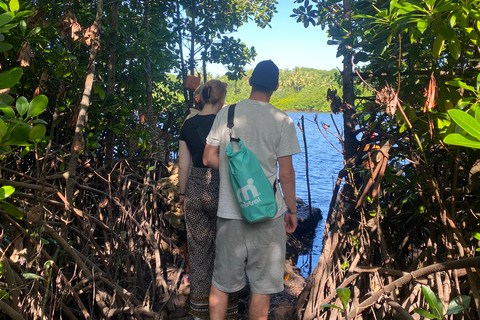 Explorando la Naturaleza de Zanzíbar Excursión de un Día