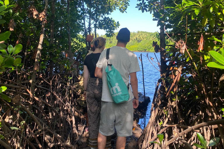 Explorando la Naturaleza de Zanzíbar Excursión de un Día