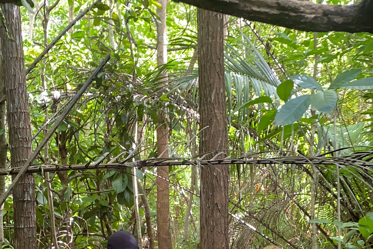 Explorando la Naturaleza de Zanzíbar Excursión de un Día