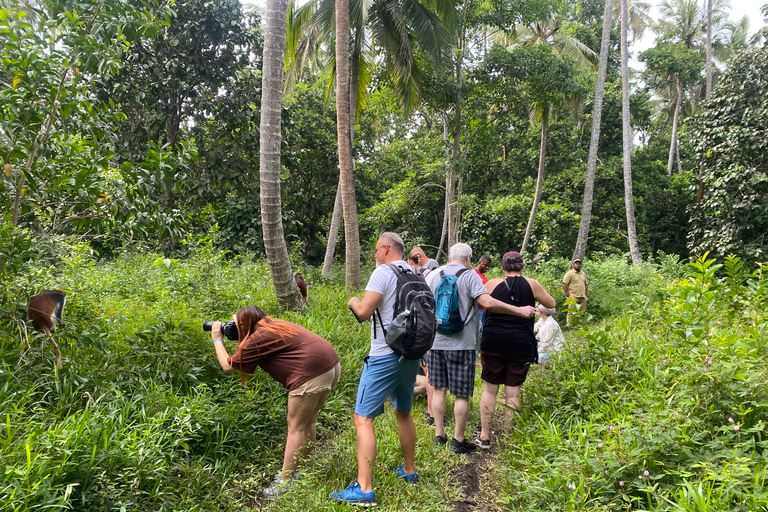 Exploring The Zanzibar Nature Full Day Trip