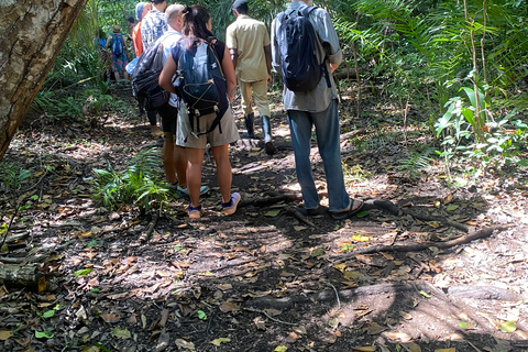 Explorando la Naturaleza de Zanzíbar Excursión de un Día