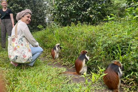 Explorando la Naturaleza de Zanzíbar Excursión de un Día