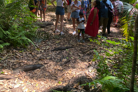 Explorando la Naturaleza de Zanzíbar Excursión de un Día