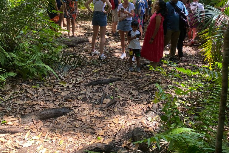 Explorando la Naturaleza de Zanzíbar Excursión de un Día