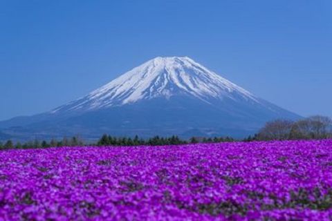 Tokyo: tour del Monte Fuji, Oshino Hakkai e outlet o delle sorgenti termali