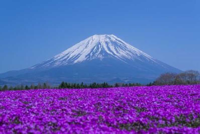Tokio: Mount Fuji, Oshino Hakkai & Outlets of Hot Spring Tour