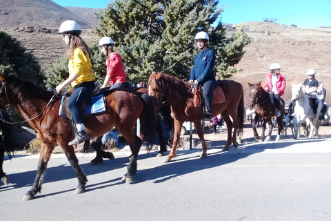 Südafrika: 2-tägiger Lesotho Pony Trek & 4x4 Sani Pass Ride