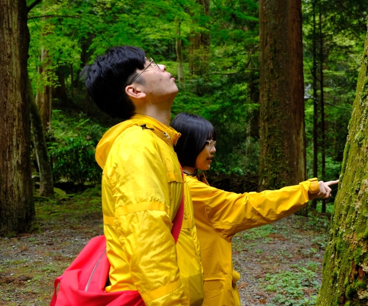 Fm Odawara: bagno nella foresta e onsen con potere curativo