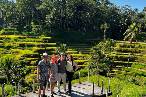 Ubud: Hidden Gems and Waterfalls Private TourFull-day Tour with Lunch