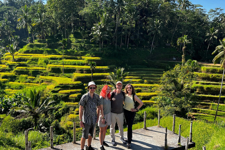 Ubud: Hidden Gems and Waterfalls Private TourFull-day Tour with Lunch