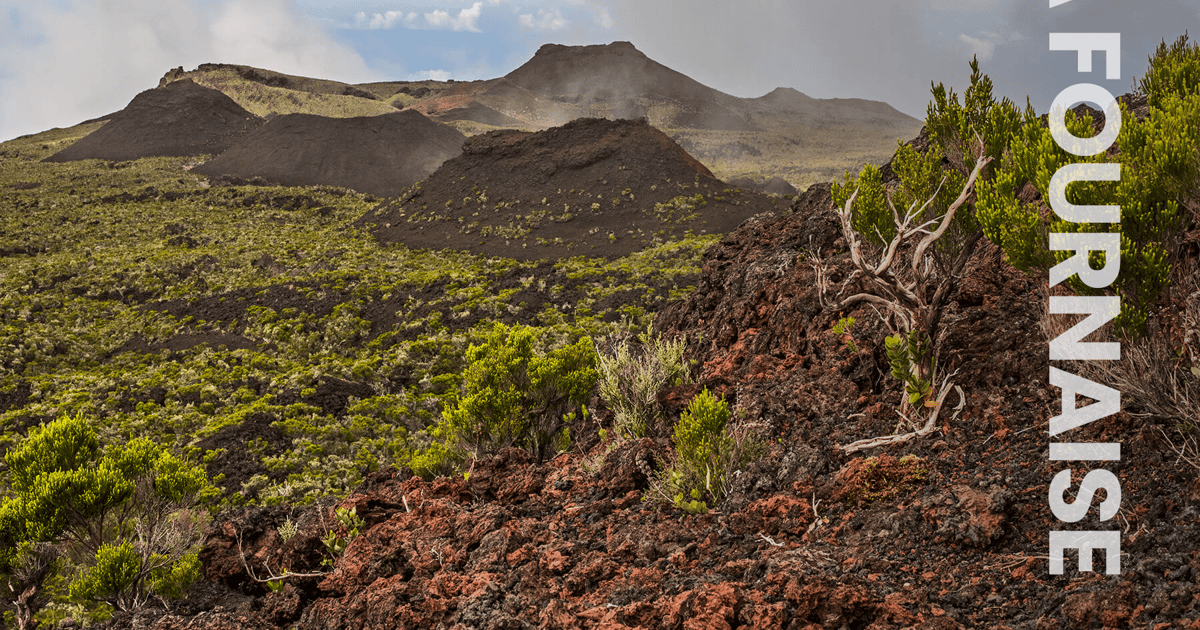 Excursion guidée au piton de la Fournaise, les mardis. GetYourGuide