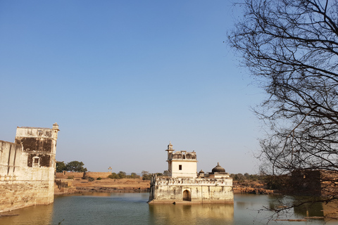 Explora el Fuerte de Chittor y Pushkar con Gota en Jaipur desde Udaipur