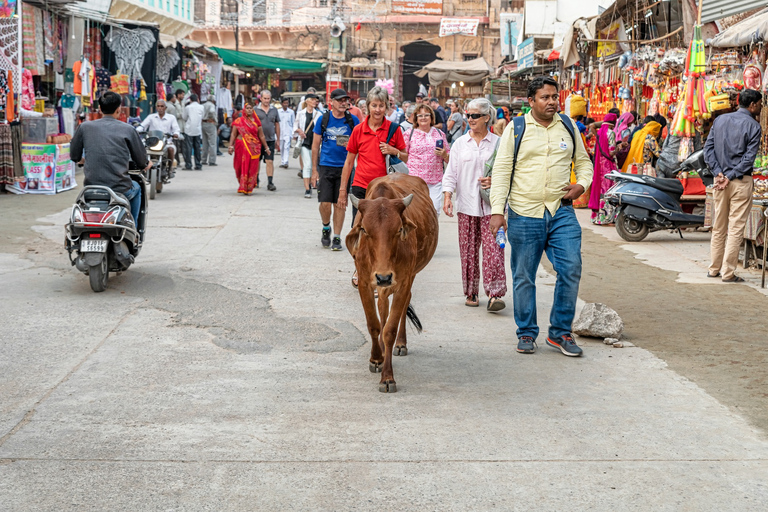 Explore Chittor Fort & Pushkar With Jaipur Drop from Udaipur