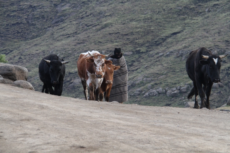 2-dniowe doświadczenie wioski we wschodnim Lesotho