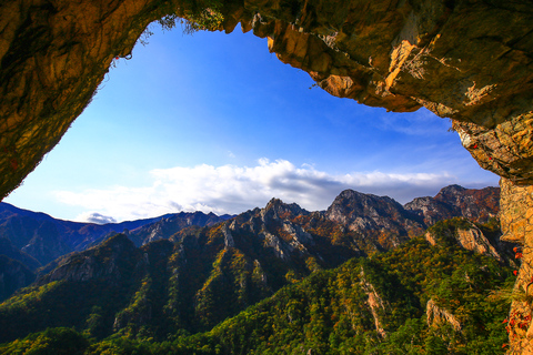 Seoraksan Day Tour with Nami Island or Sinheungsa Temple Group tour from Hongik University with Sinheung Temple