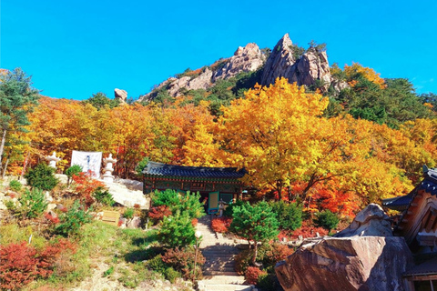 Seoraksan Day Tour with Nami Island or Sinheungsa Temple Group tour from Hongik University with Sinheung Temple