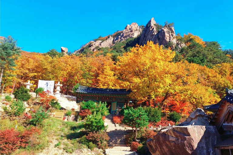 Seoraksan Day Tour with Nami Island or Sinheungsa Temple Group tour from Hongik University with Sinheung Temple